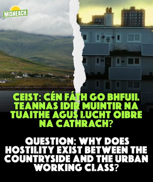 Tá Misneach i mbun obair dhíchoilínithe chun dul i ngleic leis an méid a d’aithin Collins. 

Má theastaíonn uait páirt a ghlacadh san obair sin, bígí i dteagmháil inniu!

— 🇮🇪📖—

Misneach is engaged in decolonial work to confront what Collins identified. 

If you would like to take part in that work, get in touch today!

#BÁC #AnGhaeltacht #Misneach #Gaeilge #Díchoilínigh