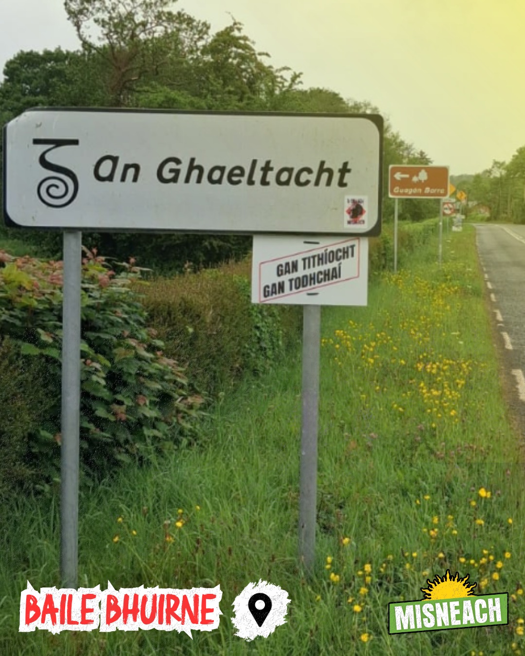 🏘️ 

Chuir baill Misneach i gCorcaigh comharthaí "Gan Tithíocht, Gan Todhchaí" in airde i nGaeltacht Mhúscraí agus Chúil Aodha le déanaí. 

I mBaile Bhuirne, sa Ghaeltacht chéanna, tógadh eastát gan aon choinníoll teanga. Tá sé ráite ag Comhairle Contae Chorcaí go mbeidh coinníoll teanga i gceist as seo amach. 

Ach cathain a thógfar eastát eile ann? I gceann 5 bliana, 10 mbliana nó níos faide anonn? Idir an dá linn, beidh seasamh na Gaeilge sa nGaeltacht sin, atá leochaileach cheana féin, á chreimeadh.

Ní mór don stát - trí Údarás na Gaeltachta, oifigeach tithíochta Gaeltachta nó eile - ról a ghlacadh i dtithíocht a thógáil sa nGaeltacht do chainteoirí Gaeilge. Caithfear srian a chur ar na AirBnBeanna agus foráil Ghaeltachta a chur isteach sa Bhille um Lóistín Gearrthréimhseach agus Turasóireachta 2025.

Tá neart smaointí, moltaí maithe agus dea shamplaí idirnáisiúnta ann chun géarchéim tithíochta na Gaeltachta agus an stáit a leigheas. 

Ach is é atá in easnamh ná brú ceart ar an Stát a chur chuige a athrú. Tá samplaí sa stair agus sa lá inniu ann chun an brú sin a thabhairt go cnámh na huillinne.

— 🇮🇪 — 

Members of Misneach in Cork recently erected “No Housing, No Future” signs in the Múscraí and Cúil Aodha Gaeltacht. 

In Baile Bhuirne, in the same Gaeltacht, an estate was built with no language condition. Cork County Council says future housing will include such conditions.

But when will another estate actually be built? In 5 years, 10 years, or even longer? In the meantime, the position of Irish in this already fragile Gaeltacht continues to erode.

The State - whether through Údarás na Gaeltachta, a Gaeltacht housing officer, or another structure - must take a direct role in building housing in the Gaeltacht for Irish speakers. Short term lets like AirBnBs must be restricted, and a Gaeltacht provision must be added to the Short Term Letting and Tourism Bill 2025.

There is no shortage of ideas, proposals, or international examples to address the Gaeltacht and national housing crisis. 

What is missing is real pressure on the State to change course. History and the present day show how such pressure can be applied effectively.

#Misneach #Gaeltacht